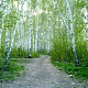 Иванов Даниил. Село Сухой Дол. Сельский парк